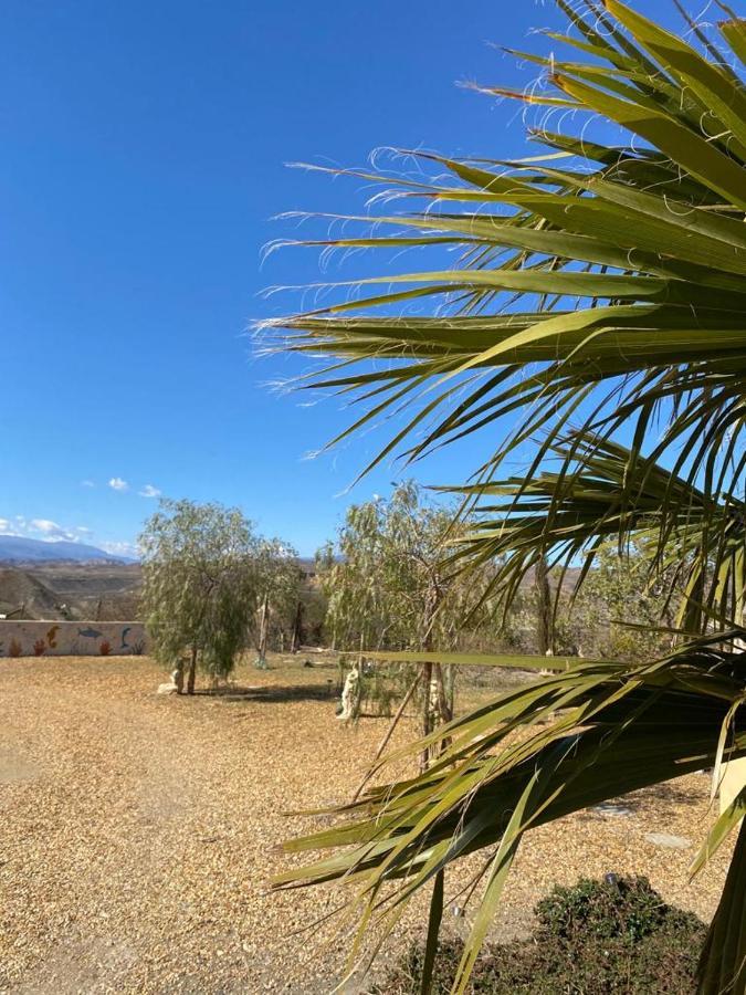 Oasis Montana Peace In Tabernas Desert ภายนอก รูปภาพ